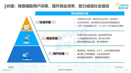 透视用户需求深挖服务潜力 2022中国商业查询行业洞察